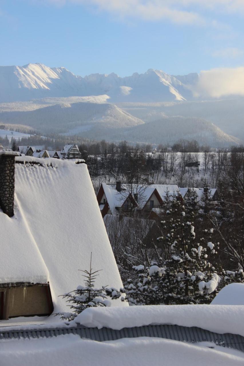 Willa Pod Zielonym Wierchem Zakopane Exterior foto
